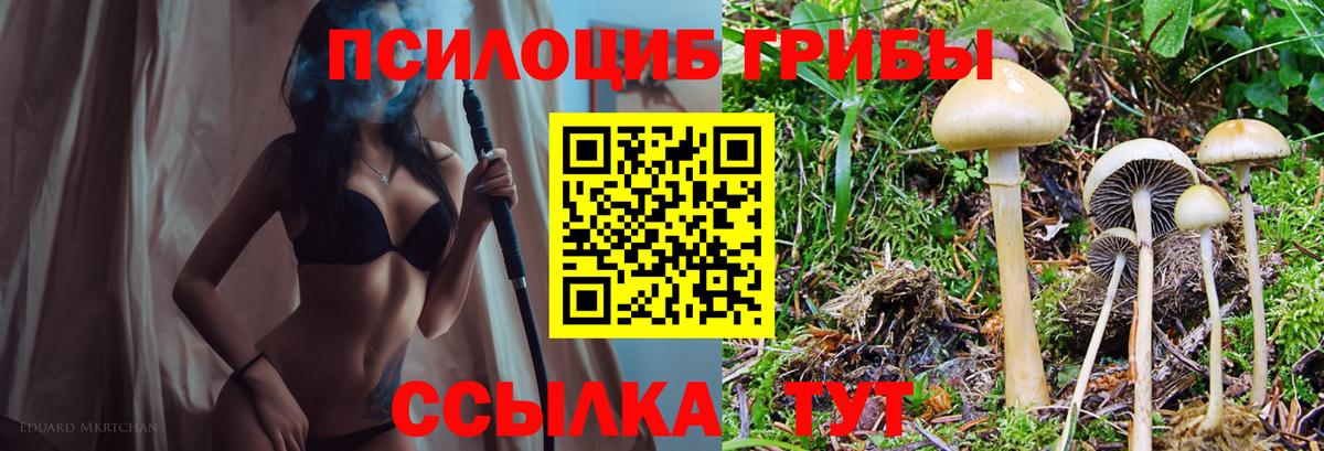 Псилоцибиновые грибы мухоморы  Вход с VPN  Киселёвск  Галлюциногенные грибы GOLDEN TEACHER 